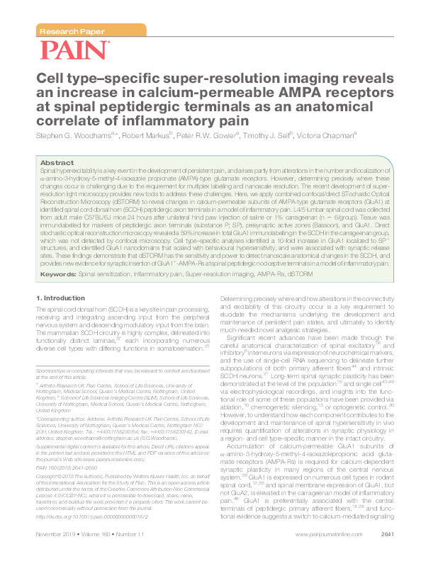 Cell type–specific super-resolution imaging reveals an increase in calcium-permeable AMPA receptors at spinal peptidergic terminals as an anatomical correlate of inflammatory pain Thumbnail