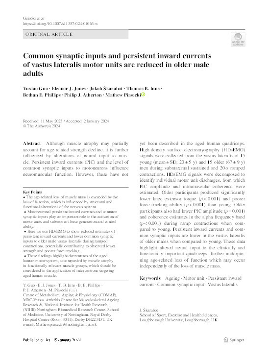 Common synaptic inputs and persistent inward currents of vastus lateralis motor units are reduced in older male adults Thumbnail