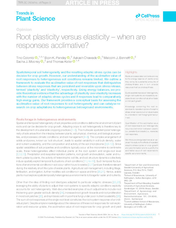 Root plasticity vs. elasticity – When are responses acclimative? Thumbnail