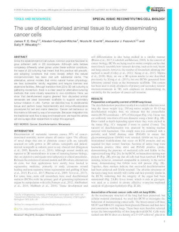 The use of decellularised animal tissue to study disseminating cancer cells Thumbnail