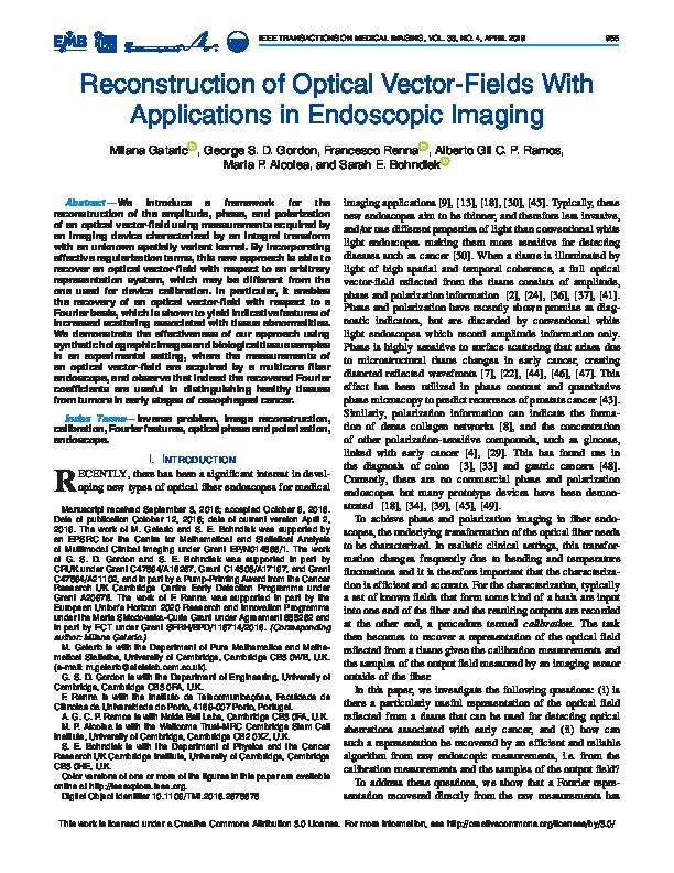 Reconstruction of Optical Vector-Fields With Applications in Endoscopic Imaging Thumbnail