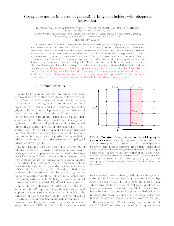 Strong zero modes in a class of generalized Ising spin ladders with plaquette interactions Thumbnail