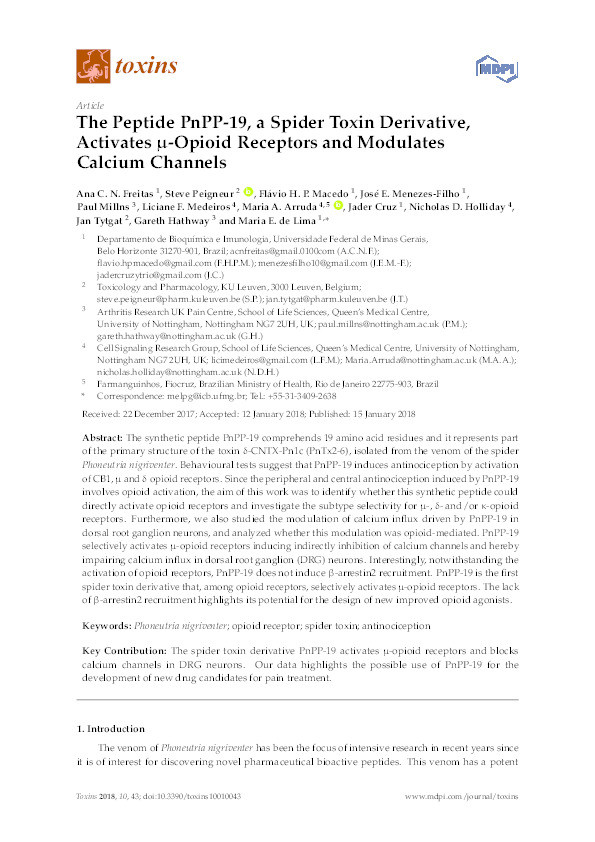 The peptide PnPP-19, a spider toxin derivative, activates ?-opioid receptors and modulates calcium channels Thumbnail