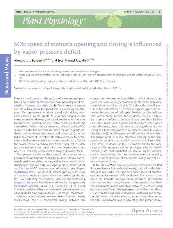 SOS: speed of stomata opening and closing is influenced by vapor pressure deficit Thumbnail