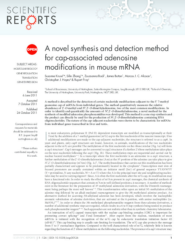 A novel synthesis and detection method for cap-associated adenosine modifications in mouse mRNA Thumbnail