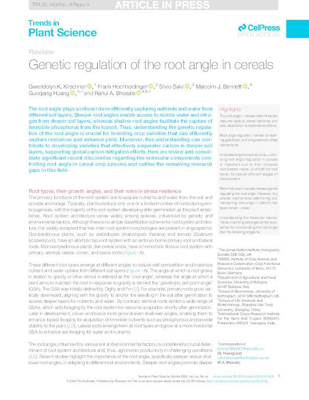 Genetic regulation of the root angle in cereals Thumbnail