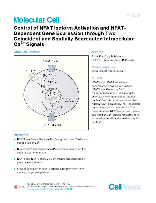 Control of NFAT Isoform Activation and NFAT-Dependent Gene Expression through Two Coincident and Spatially Segregated Intracellular Ca 2+ Signals Thumbnail