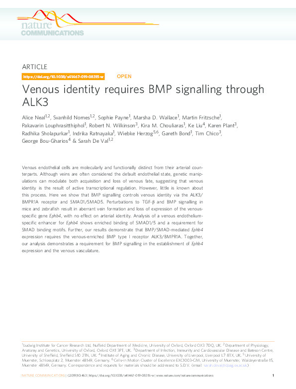 Venous identity requires BMP signalling through ALK3 Thumbnail