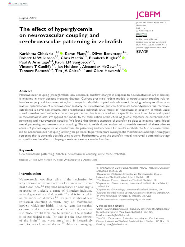 The effect of hyperglycemia on neurovascular coupling and cerebrovascular patterning in zebrafish Thumbnail