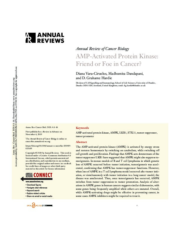 AMP-Activated Protein Kinase: Friend or Foe in Cancer? Thumbnail