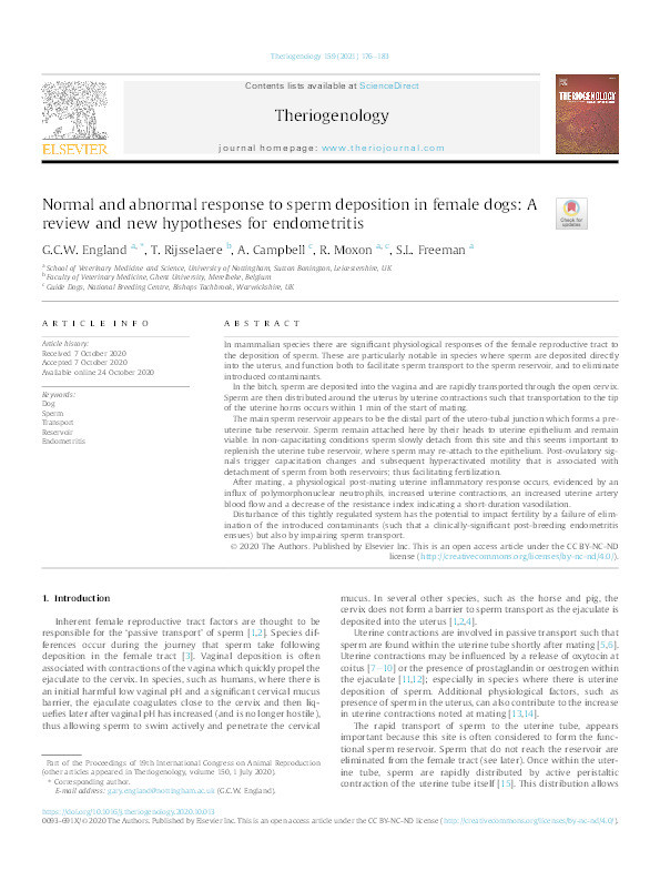 Normal and abnormal response to sperm deposition in female dogs: A review and new hypotheses for endometritis Thumbnail