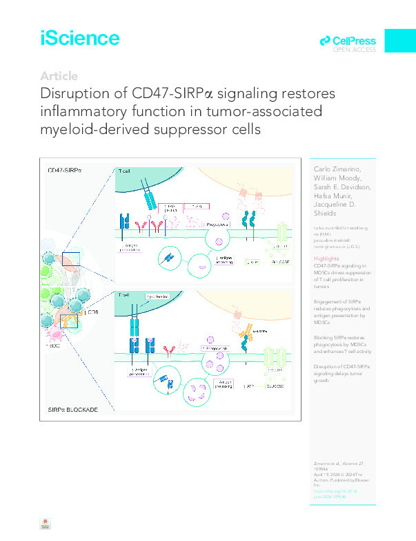 Disruption of CD47-SIRPα signaling restores inflammatory function in tumor-associated myeloid-derived suppressor cells Thumbnail