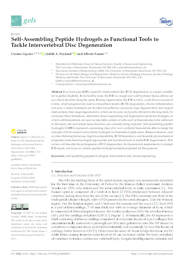 Self-Assembling Peptide Hydrogels as Functional Tools to Tackle Intervertebral Disc Degeneration Thumbnail