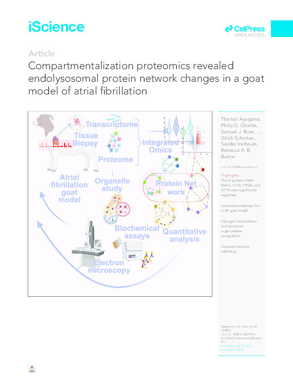 Compartmentalization proteomics revealed endolysosomal protein network changes in a goat model of atrial fibrillation Thumbnail