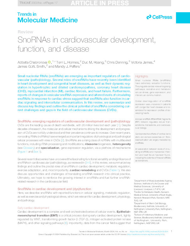 SnoRNAs in cardiovascular development, function, and disease Thumbnail