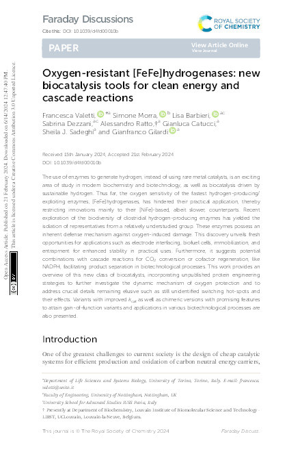 Oxygen-resistant [FeFe]hydrogenases: new biocatalysis tools for clean energy and cascade reactions Thumbnail
