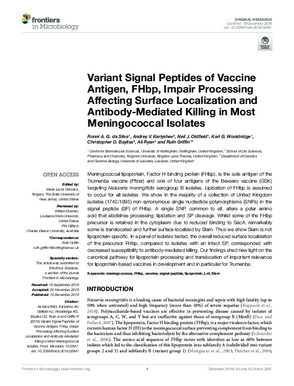 Variant Signal Peptides of Vaccine Antigen, FHbp, Impair Processing Affecting Surface Localization and Antibody-Mediated Killing in Most Meningococcal Isolates Thumbnail