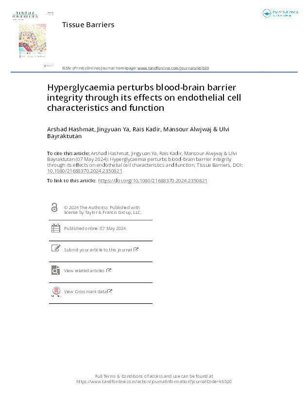 Hyperglycaemia perturbs blood-brain barrier integrity through its effects on endothelial cell characteristics and function Thumbnail