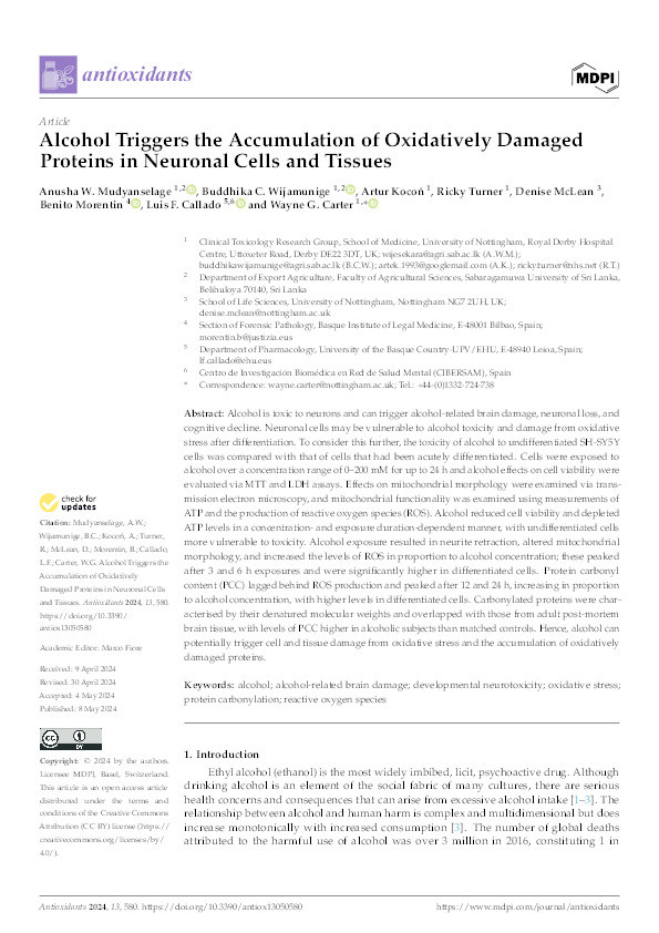 Alcohol Triggers the Accumulation of Oxidatively Damaged Proteins in Neuronal Cells and Tissues Thumbnail