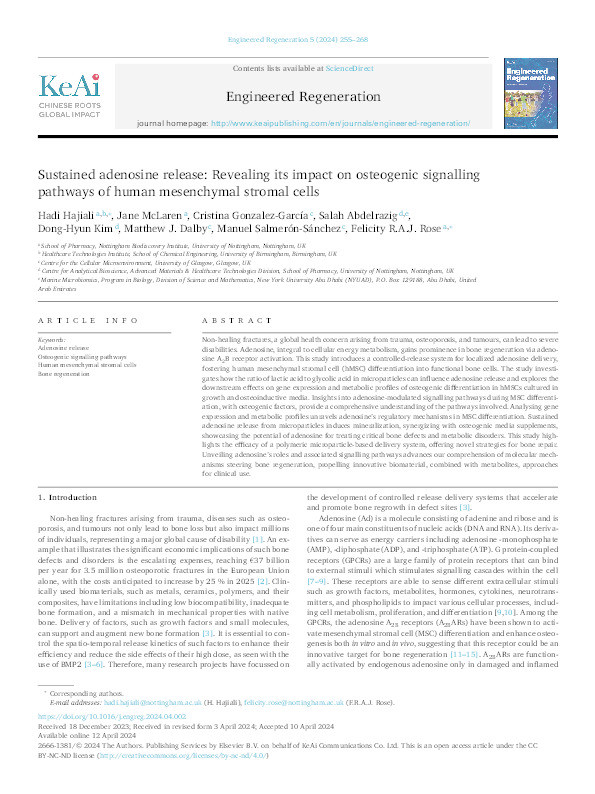 Sustained adenosine release: Revealing its impact on osteogenic signalling pathways of human mesenchymal stromal cells Thumbnail