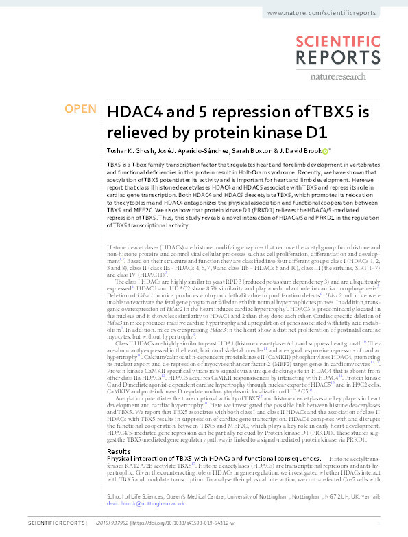 HDAC4 and 5 repression of TBX5 is relieved by protein kinase D1 Thumbnail