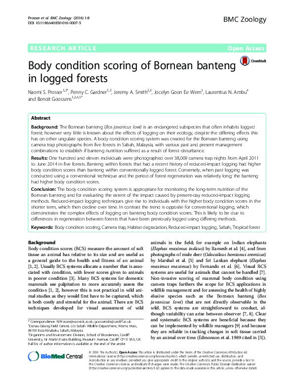 Body condition scoring of Bornean banteng in logged forests Thumbnail