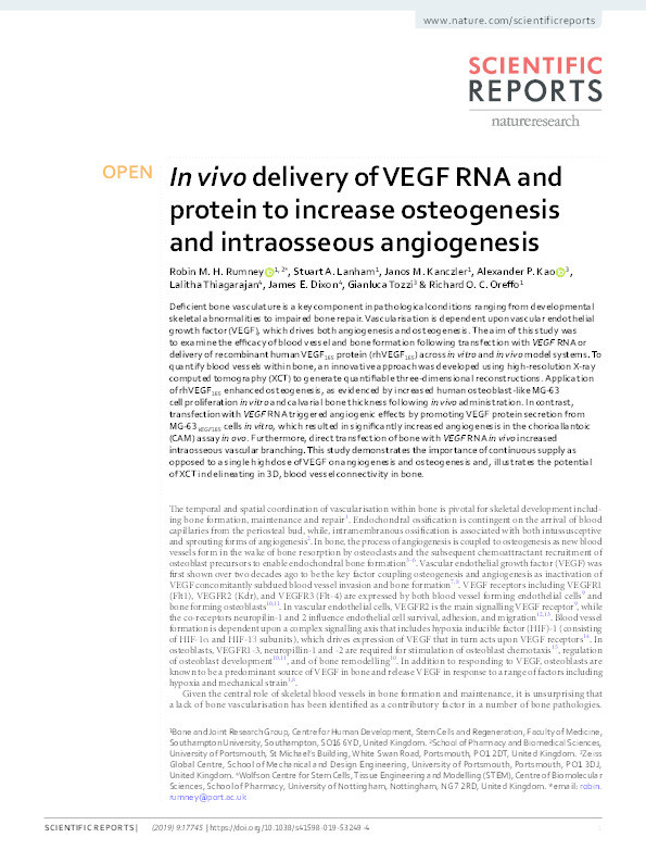 In vivo delivery of VEGF RNA and protein to increase osteogenesis and intraosseous angiogenesis Thumbnail
