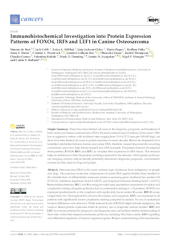 Immunohistochemical Investigation into Protein Expression Patterns of FOXO4, IRF8 and LEF1 in Canine Osteosarcoma Thumbnail