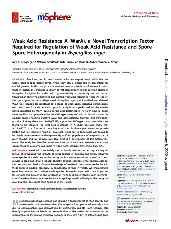 Weak Acid Resistance A (WarA), a Novel Transcription Factor Required for Regulation of Weak-Acid Resistance and Spore-Spore Heterogeneity in Aspergillus niger Thumbnail