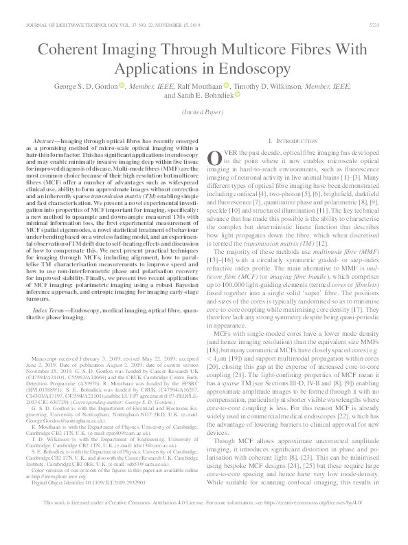 Coherent Imaging Through Multicore Fibres With Applications in Endoscopy Thumbnail