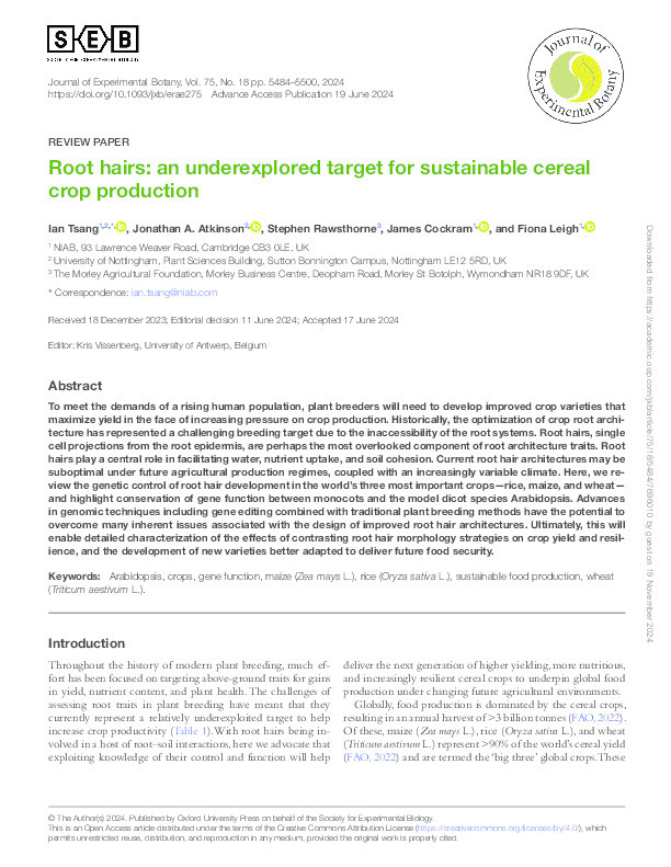 Root Hairs: An under-explored target for sustainable cereal crop production Thumbnail