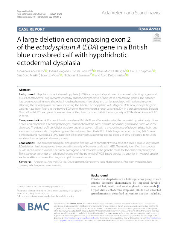 A large deletion encompassing exon 2 of the ectodysplasin A (EDA) gene in a British blue crossbred calf with hypohidrotic ectodermal dysplasia Thumbnail