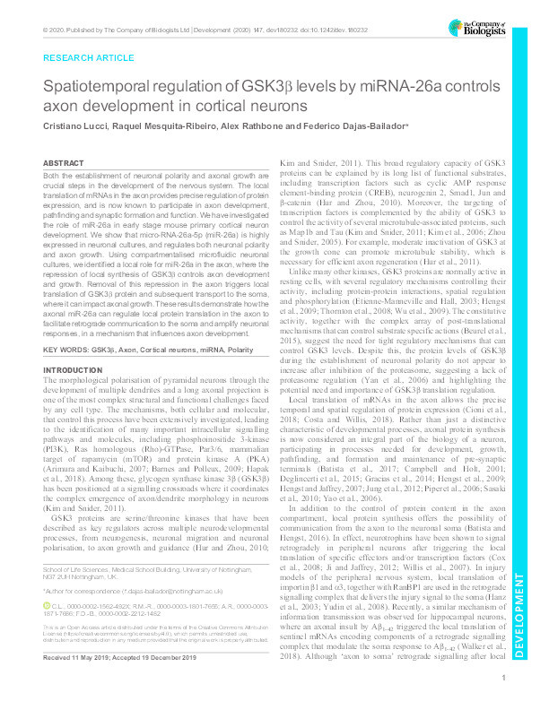 Spatiotemporal regulation of GSK3β levels by miRNA-26a controls axon development in cortical neurons Thumbnail