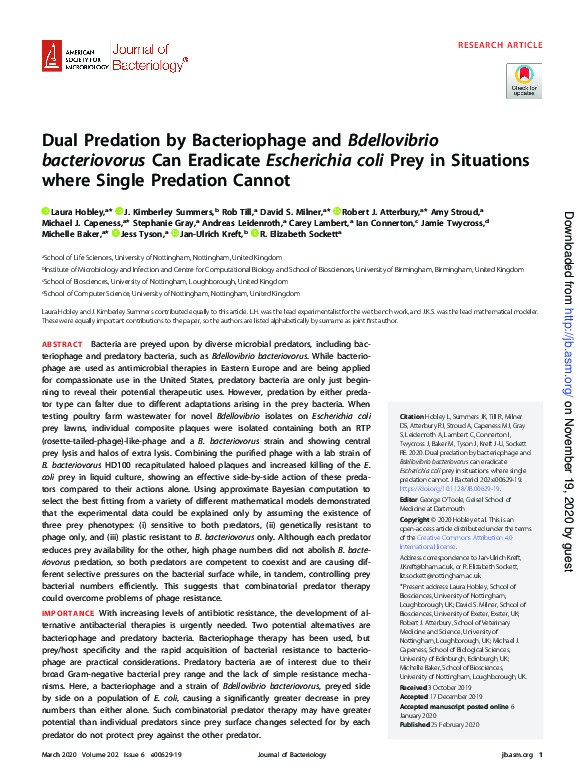 Dual predation by bacteriophage and bdellovibrio bacteriovorus can eradicate escherichia coli prey in situations where single predation cannot Thumbnail
