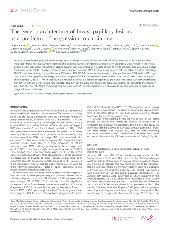 The genetic architecture of breast papillary lesions as a predictor of progression to carcinoma Thumbnail