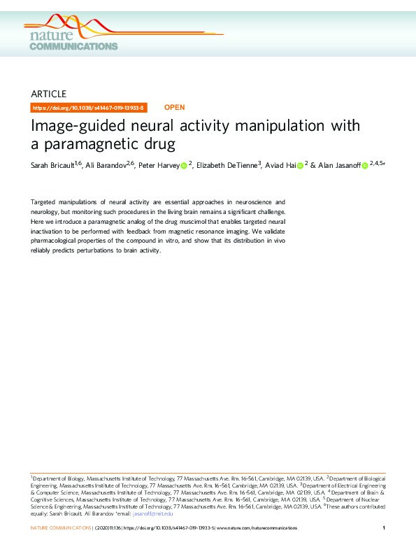 Image-guided neural activity manipulation with a paramagnetic drug Thumbnail