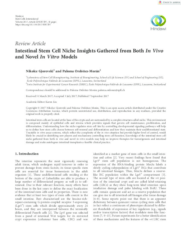 Intestinal Stem Cell Niche Insights Gathered from Both In Vivo and Novel In Vitro Models Thumbnail