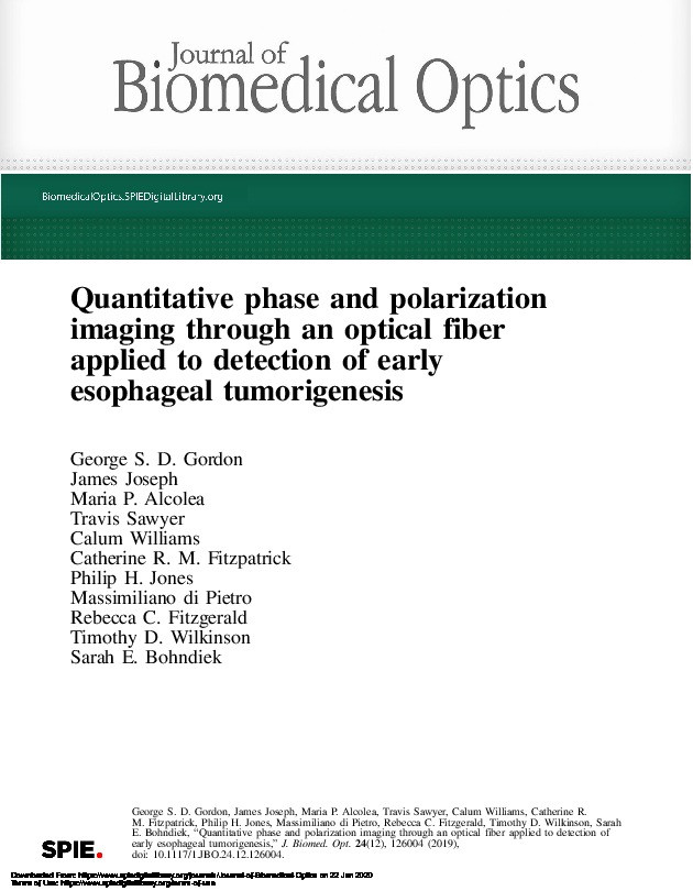 Quantitative phase and polarization imaging through an optical fiber applied to detection of early esophageal tumorigenesis Thumbnail