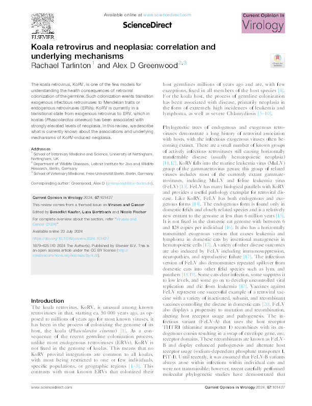 Koala retrovirus and neoplasia: correlation and underlying mechanisms Thumbnail