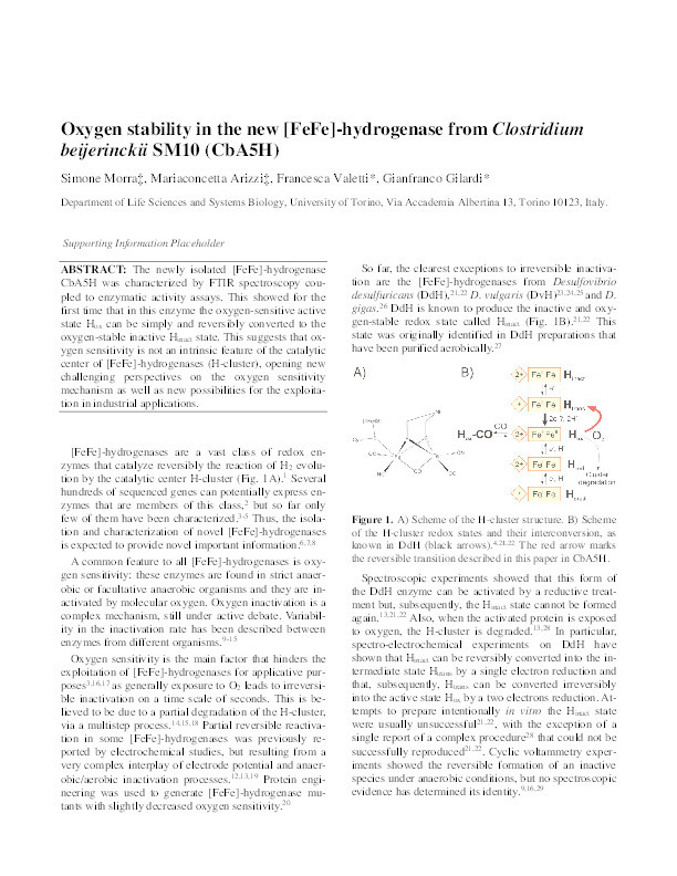 Oxygen Stability in the New [FeFe]-Hydrogenase from Clostridium beijerinckii SM10 (CbA5H) Thumbnail