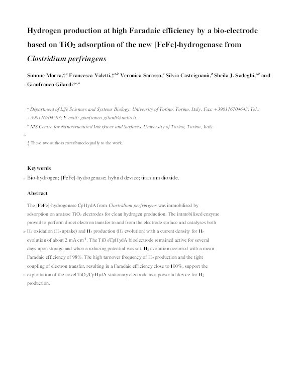 Hydrogen production at high Faradaic efficiency by a bio-electrode based on TiO2 adsorption of a new [FeFe]-hydrogenase from Clostridium perfringens Thumbnail