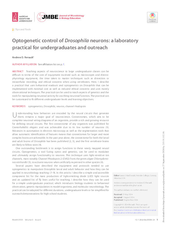 Optogenetic control of Drosophila neurons: a laboratory practical for undergraduates and outreach Thumbnail