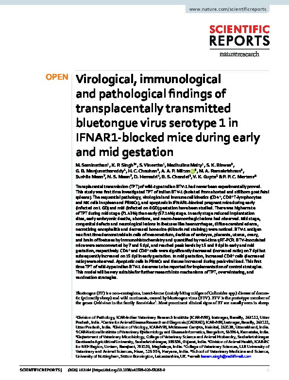 Virological, immunological and pathological findings of transplacentally transmitted bluetongue virus serotype 1 in IFNAR1-blocked mice during early and mid gestation Thumbnail