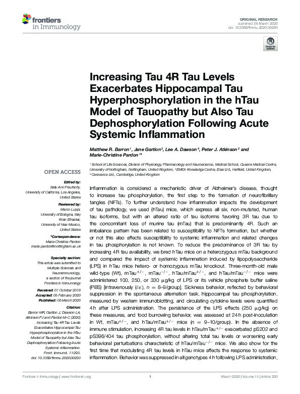 Increasing Tau 4R Tau Levels Exacerbates Hippocampal Tau Hyperphosphorylation in the hTau Model of Tauopathy but Also Tau Dephosphorylation Following Acute Systemic Inflammation Thumbnail
