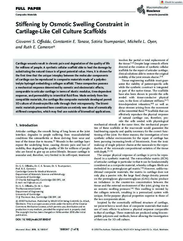 Stiffening by Osmotic Swelling Constraint in Cartilage-Like Cell Culture Scaffolds Thumbnail