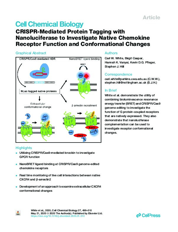 CRISPR-Mediated Protein Tagging with Nanoluciferase to Investigate Native Chemokine Receptor Function and Conformational Changes Thumbnail