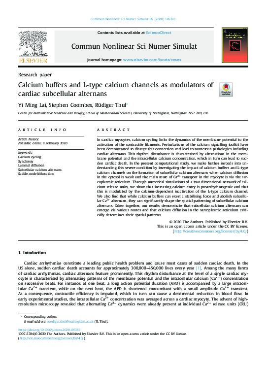 Calcium buffers and L-type calcium channels as modulators of cardiac subcellular alternans Thumbnail