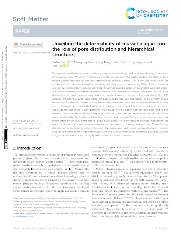 Unveiling the deformability of mussel plaque core: the role of pore distribution and hierarchical structure Thumbnail