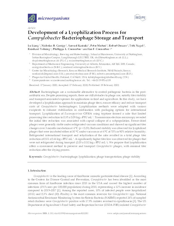 Development of a lyophilization process for Campylobacter bacteriophage storage and transport Thumbnail