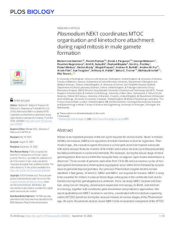 Plasmodium NEK1 coordinates MTOC organisation and kinetochore attachment during rapid mitosis in male gamete formation Thumbnail